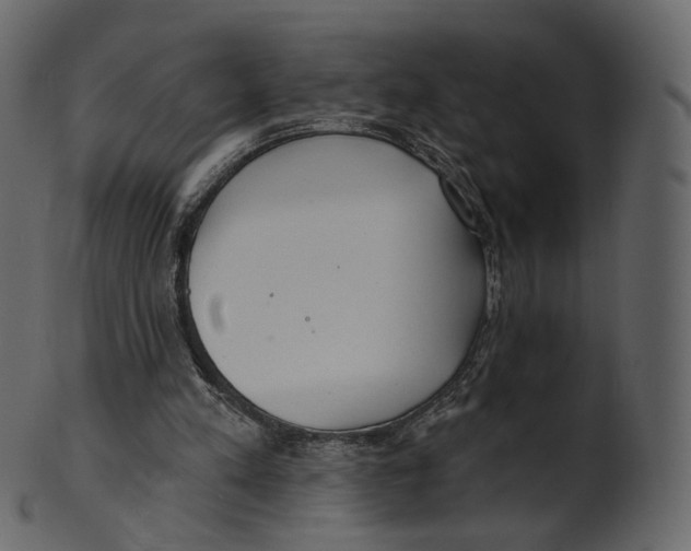 X0000100470197200807031836