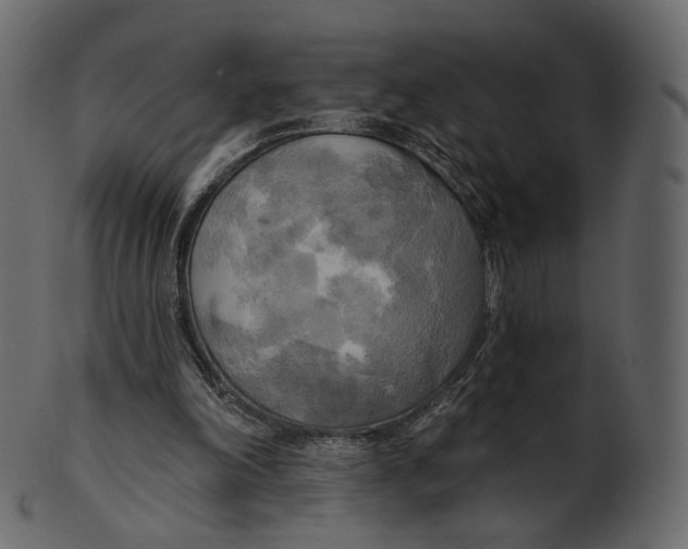 X0000100470198200807031836