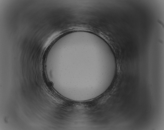 X0000100470199200807031836