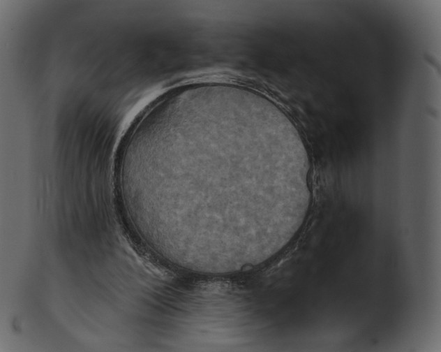 X0000100470200200807031836