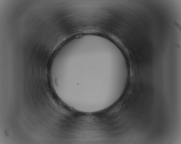 X0000100470201200807031836