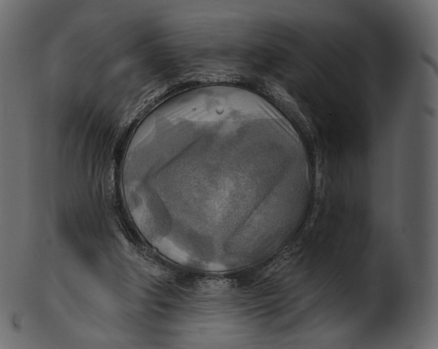 X0000100470202200807031836