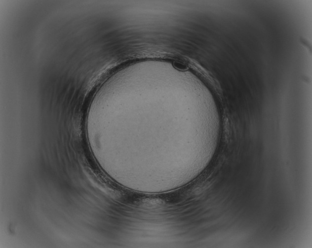 X0000100470203200807031836