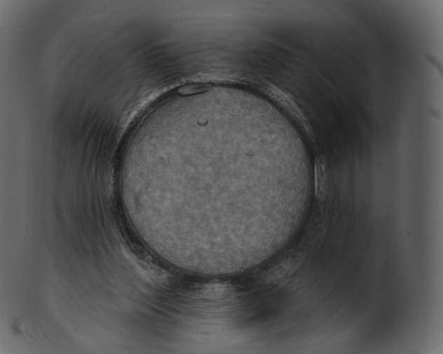 X0000100470204200807031836