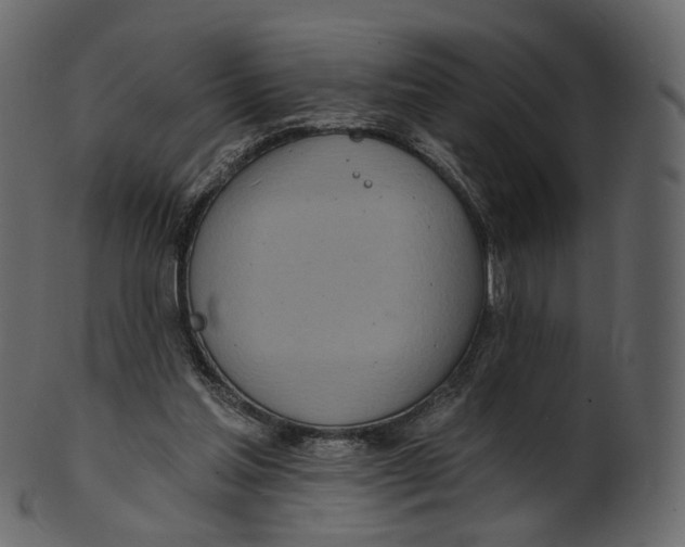 X0000100470205200807031836