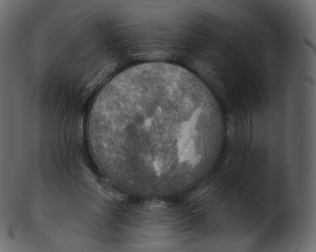 X0000100470206200807031836