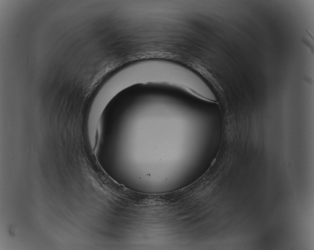 X0000100470207200807031836