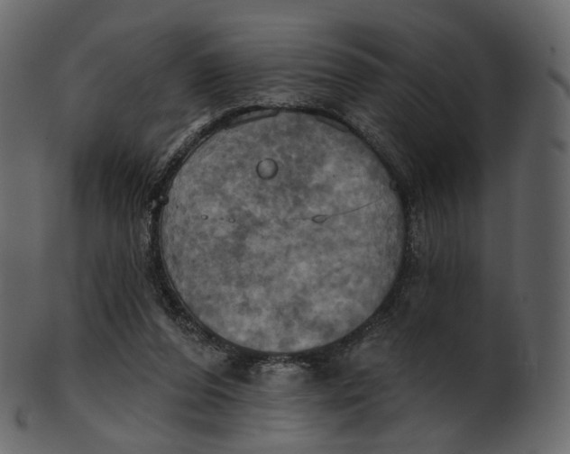 X0000100470208200807031836