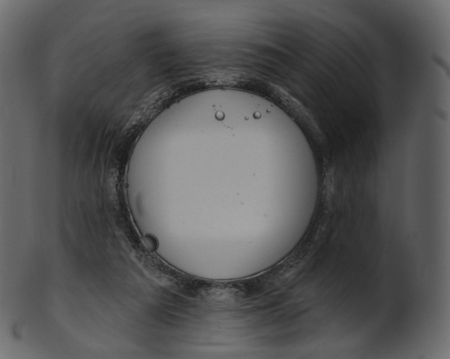 X0000100470209200807031836