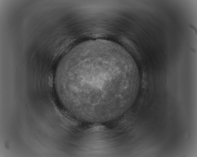 X0000100470210200807031836