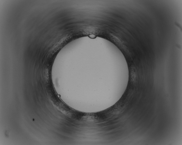 X0000100470211200807031836