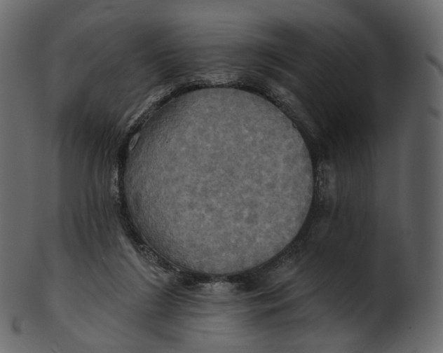 X0000100470212200807031836