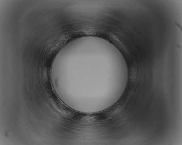 X0000100470213200807031836