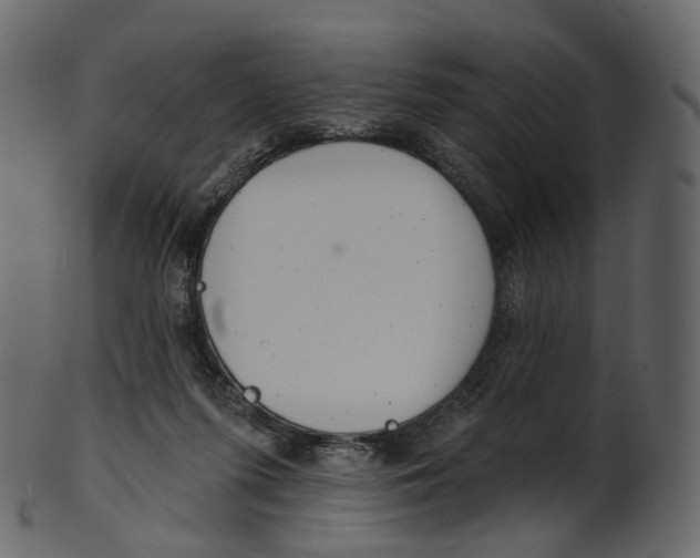 X0000100470215200807031836