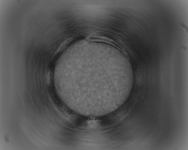 X0000100470216200807031836