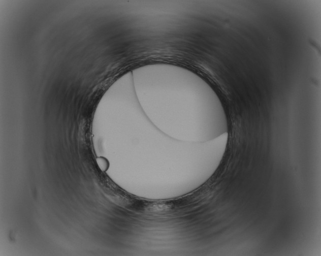 X0000100470217200807031836