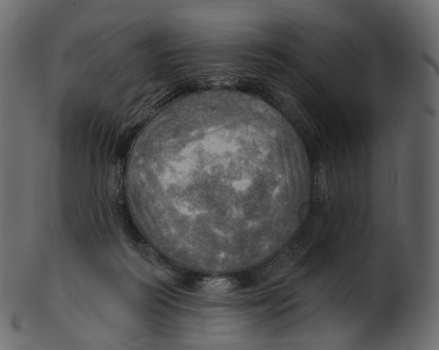 X0000100470218200807031836