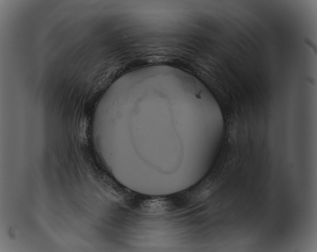 X0000100470219200807031836