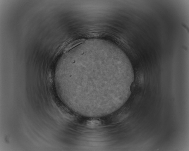 X0000100470220200807031836