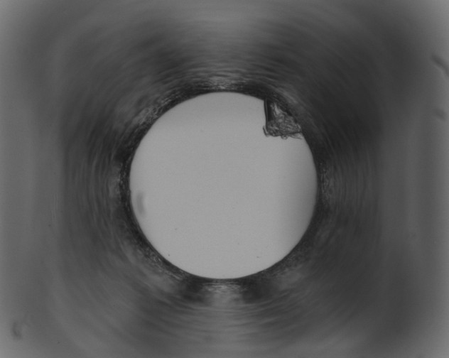 X0000100470221200807031836