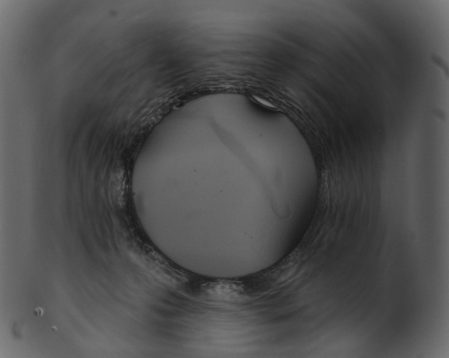 X0000100470223200807031836