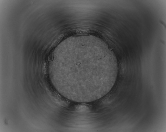 X0000100470224200807031836