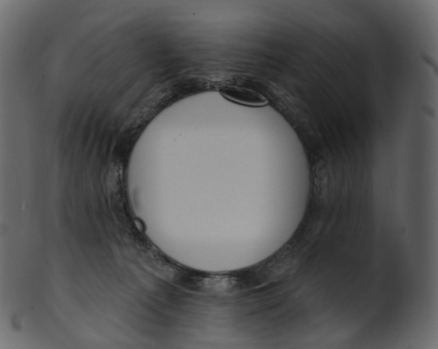 X0000100470225200807031836