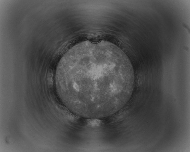 X0000100470226200807031836