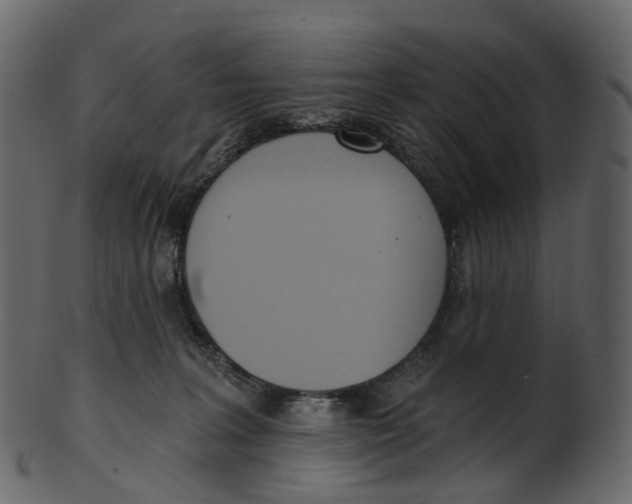 X0000100470227200807031836