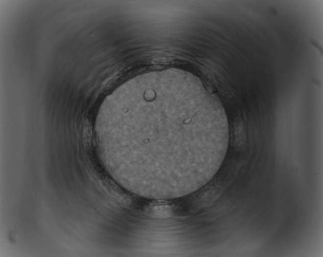 X0000100470228200807031836