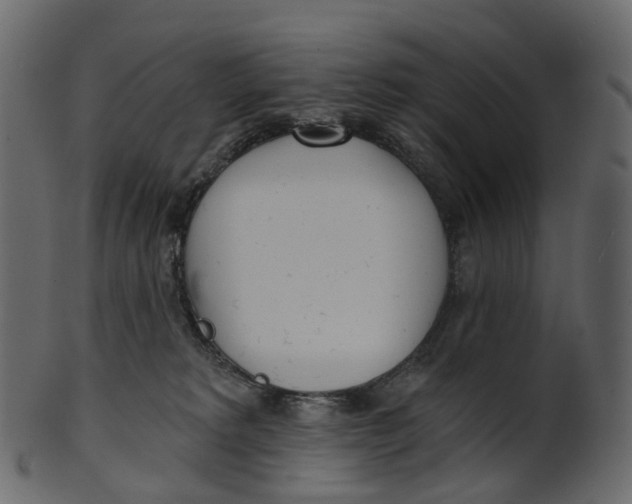 X0000100470229200807031835