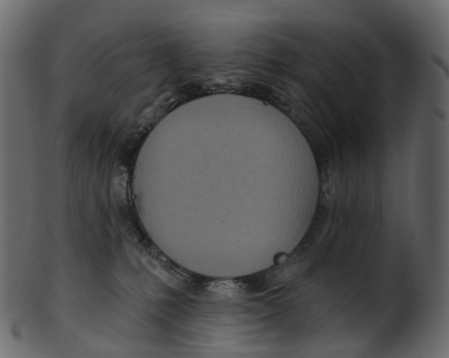 X0000100470231200807031835