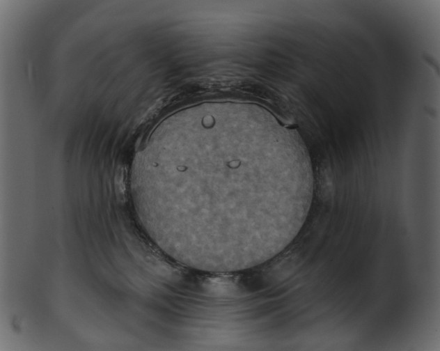 X0000100470232200807031835