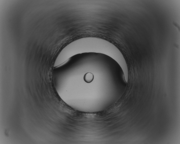 X0000100470233200807031835