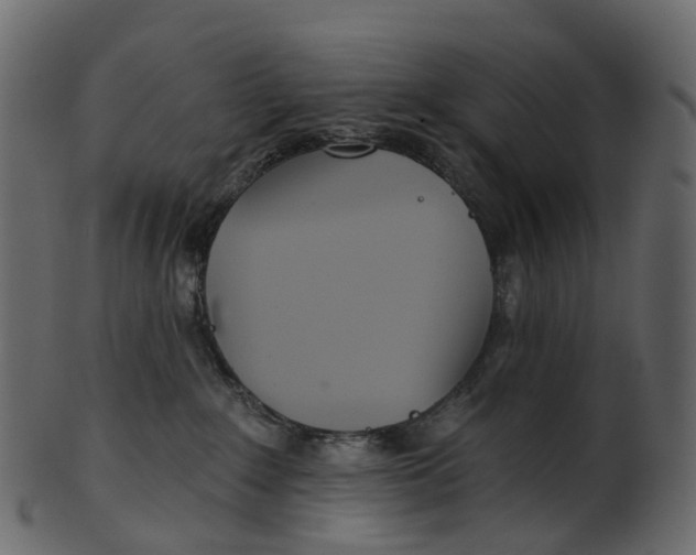 X0000100470235200807031835