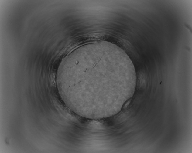 X0000100470236200807031835