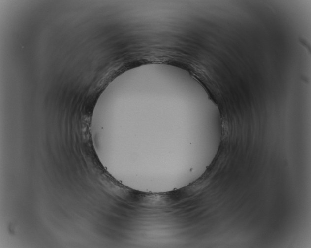 X0000100470237200807031835