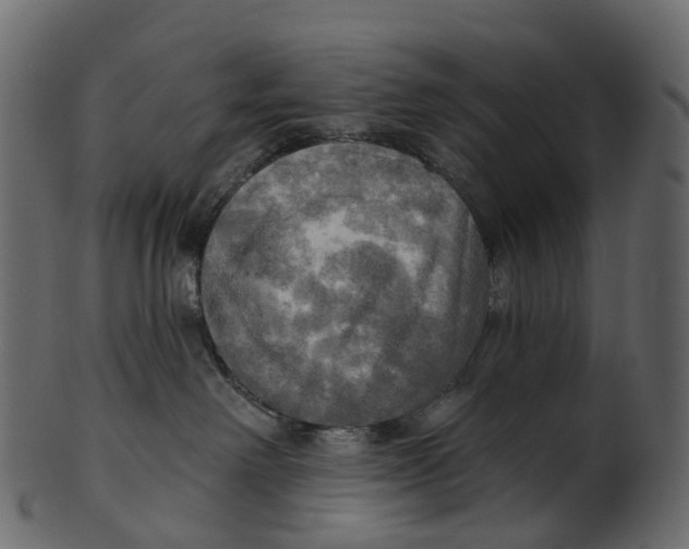 X0000100470238200807031835