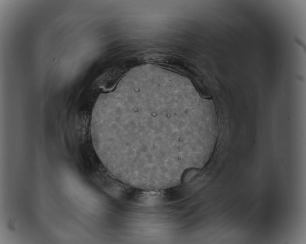 X0000100470240200807031835