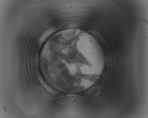 X0000100470242200807031834