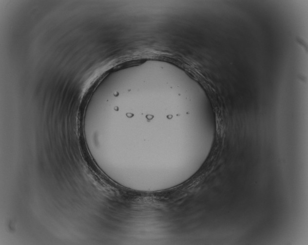 X0000100470244200807031834