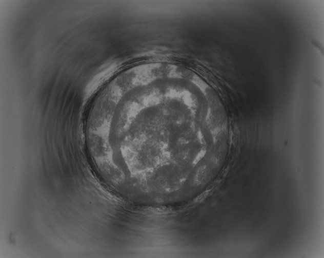 X0000100470245200807031834