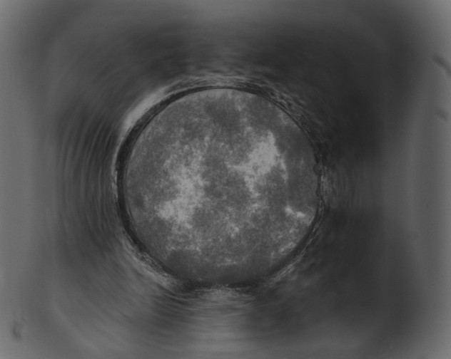 X0000100470246200807031834