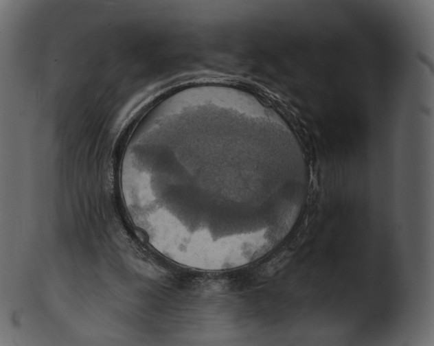 X0000100470247200807031834