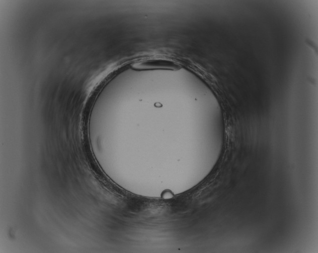 X0000100470248200807031834