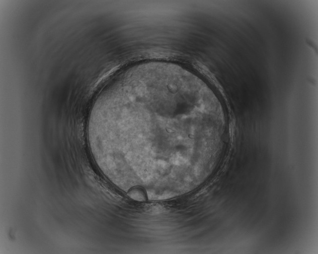 X0000100470249200807031834