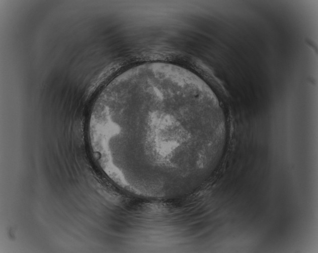 X0000100470250200807031835