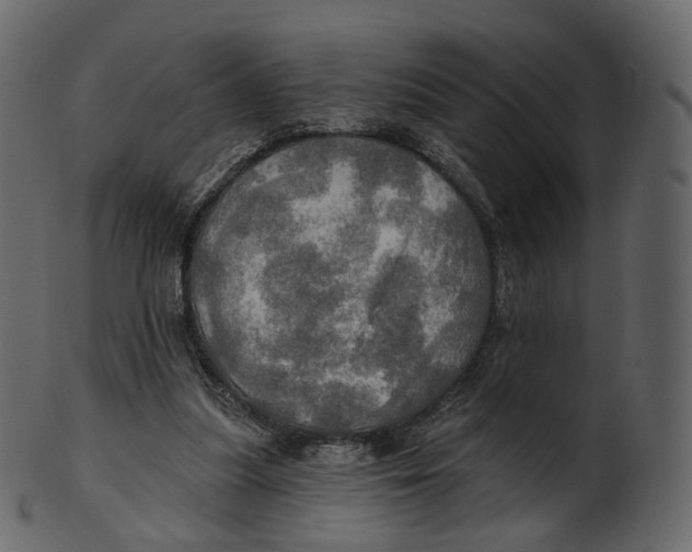 X0000100470251200807031835