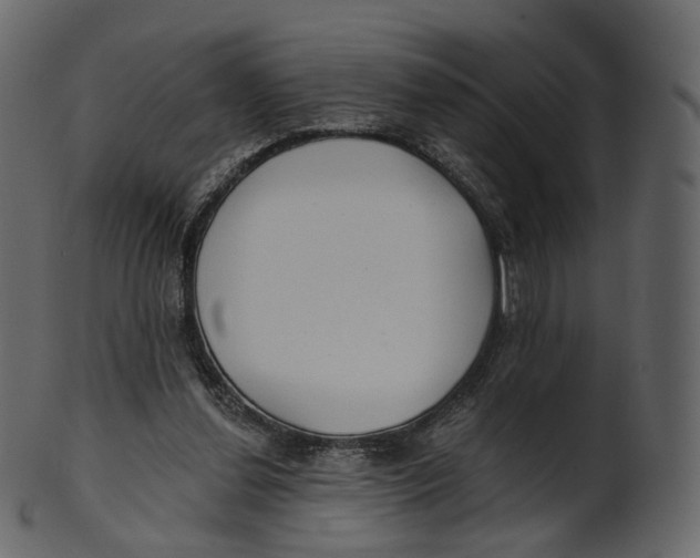 X0000100470252200807031835