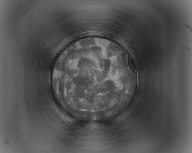 X0000100470253200807031835